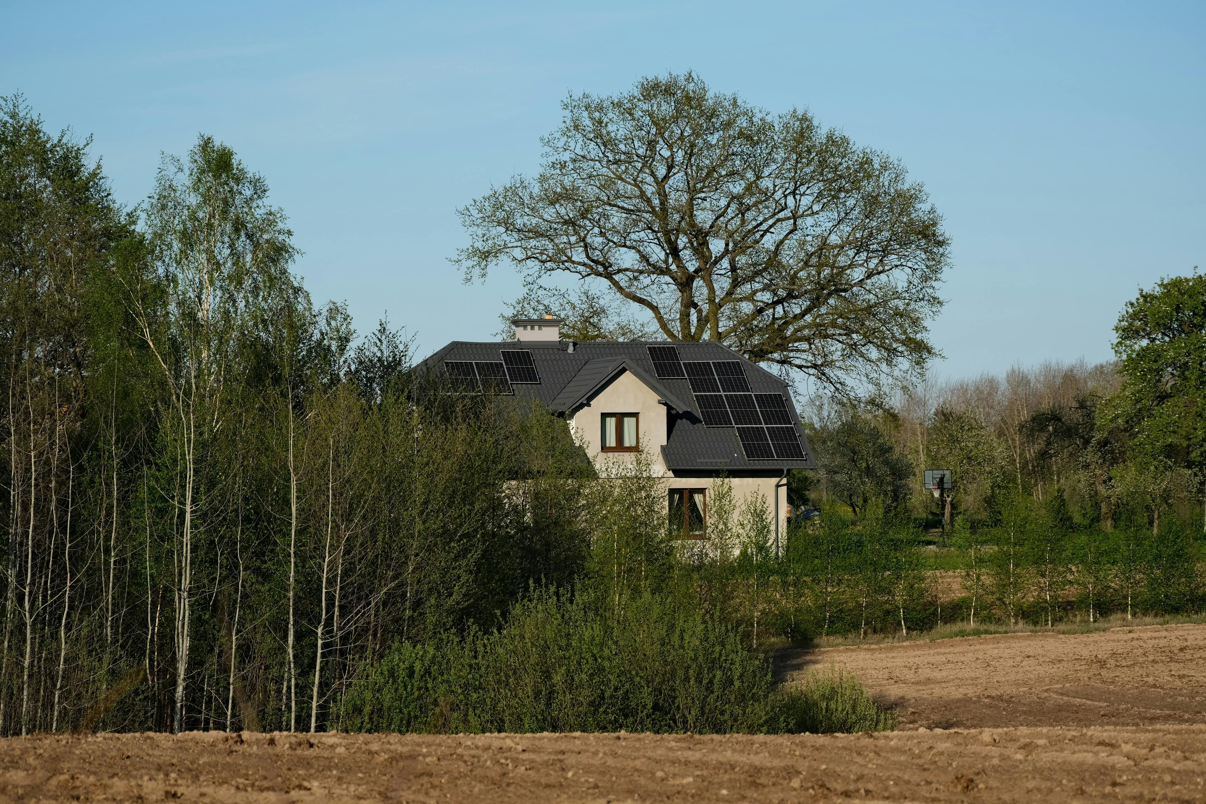 Cum să îți faci casa mai ecologică fără costuri mari: 10 schimbări simple