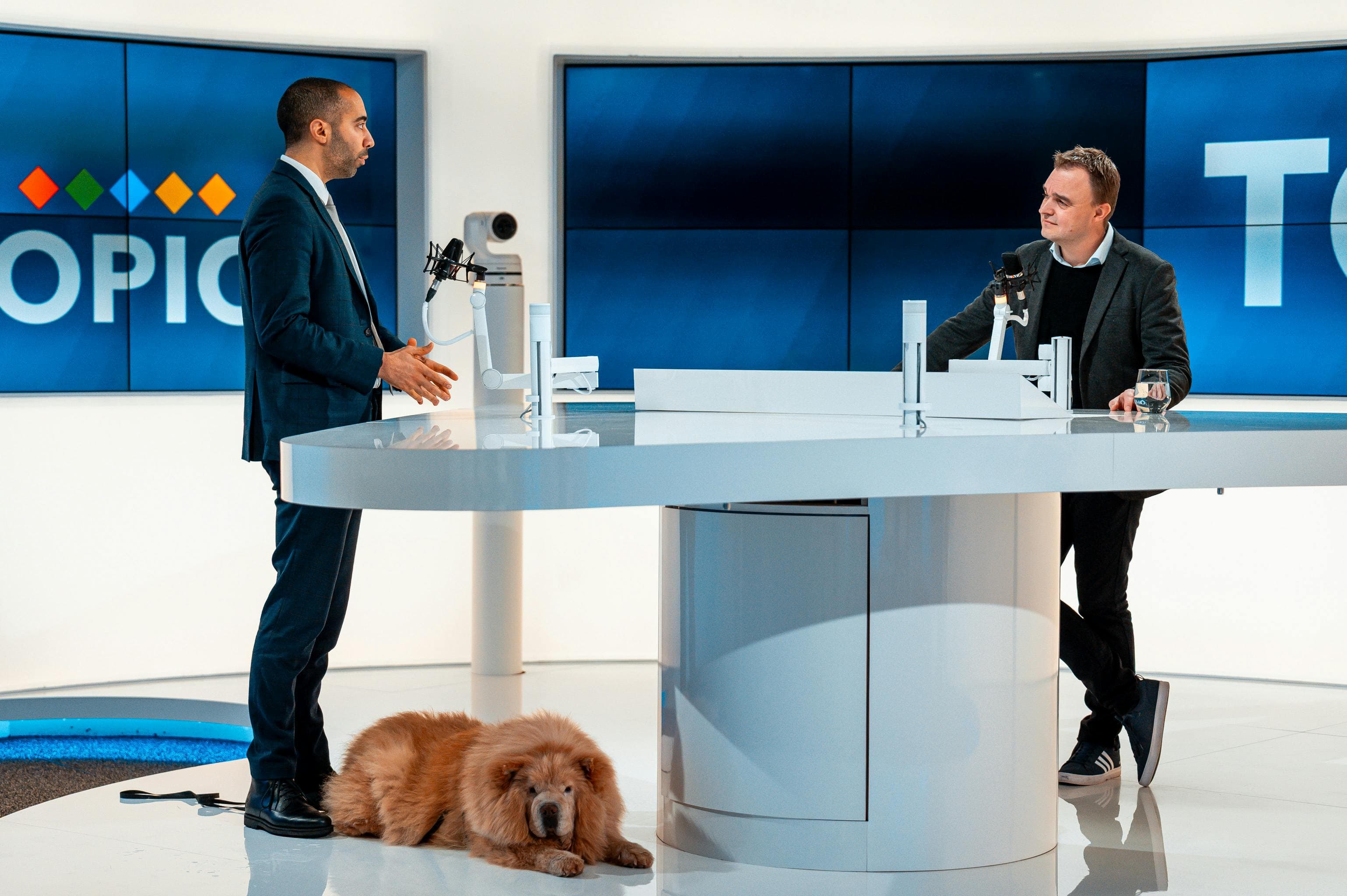 Cum arată viața de zi cu zi a celor mai iubite prezentatoare TV din România