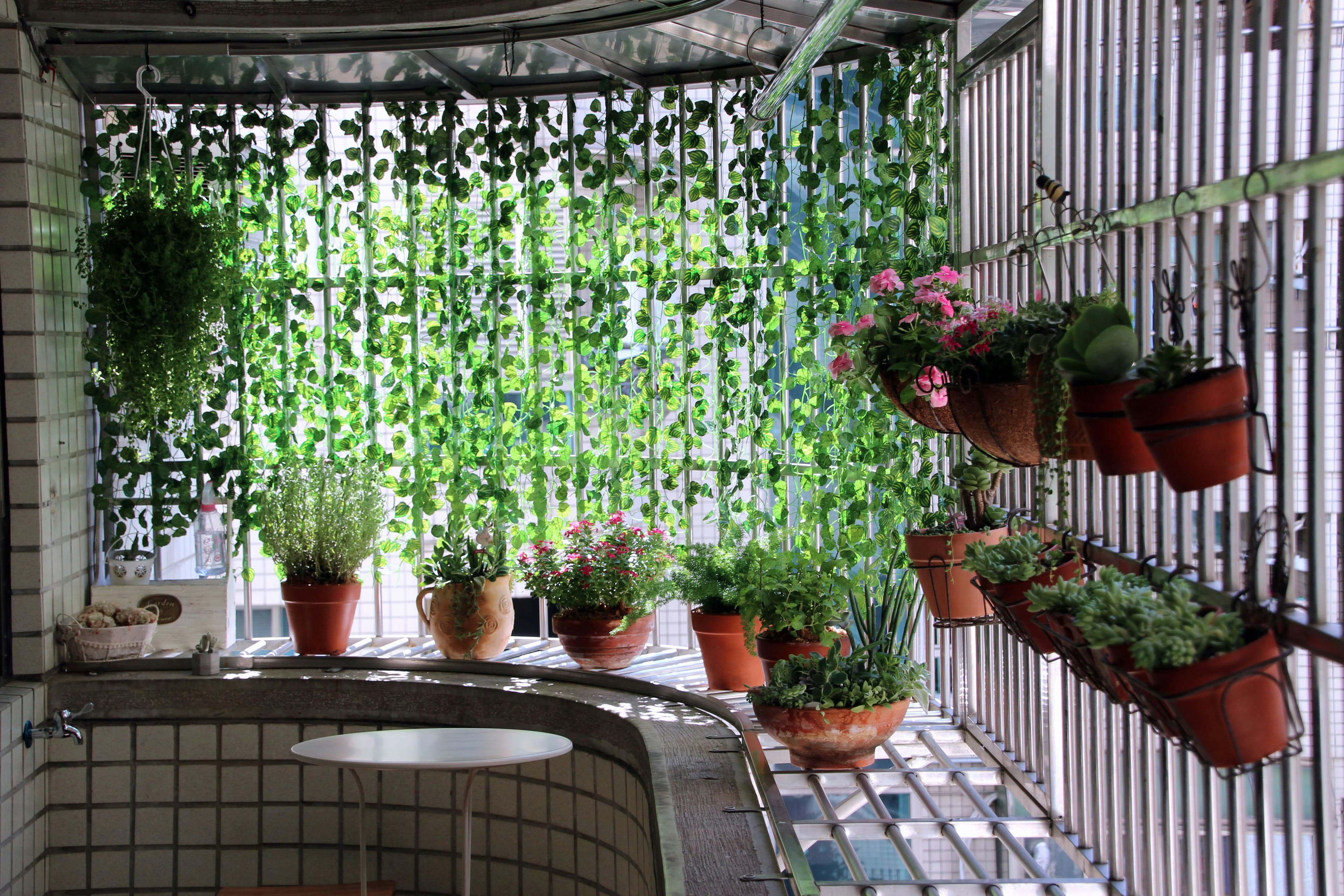 Cum să îți începi o grădină pe balcon în mai 2026: plante, ghivece și sfaturi